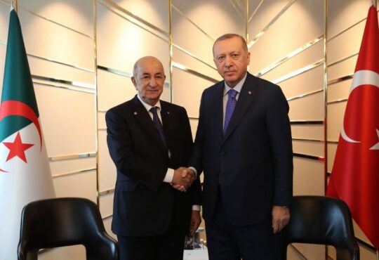 Erdogan & Presiden Aljazair bahas hubungan bilateral hingga serangan Israel atas Palestina - Turkinesia