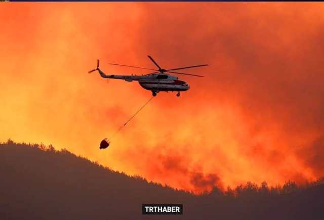 88 lokasi kebakaran hutan di seluruh Turki terkendali - Turkinesia