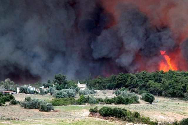 Sebanyak 122 kebakaran hutan dari 129 di Turki telah dikendalikan - Turkinesia
